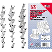 BGS 8137 | Surtido de bulones | 60 piezas
